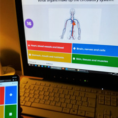 Szakmai nyelv; leggyakoribb betegségek / Special language: Illnesses - Munkavállalói szókincs fejlesztése 5.